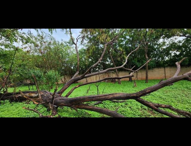 FARM FOR SALE IN GERARDSVILLE